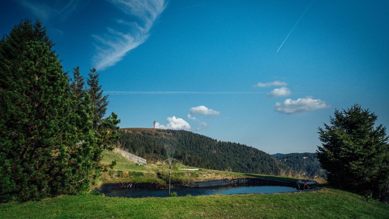 Berggasthof Zur Todtnauer Huette Feldberg  Dış mekan fotoğraf