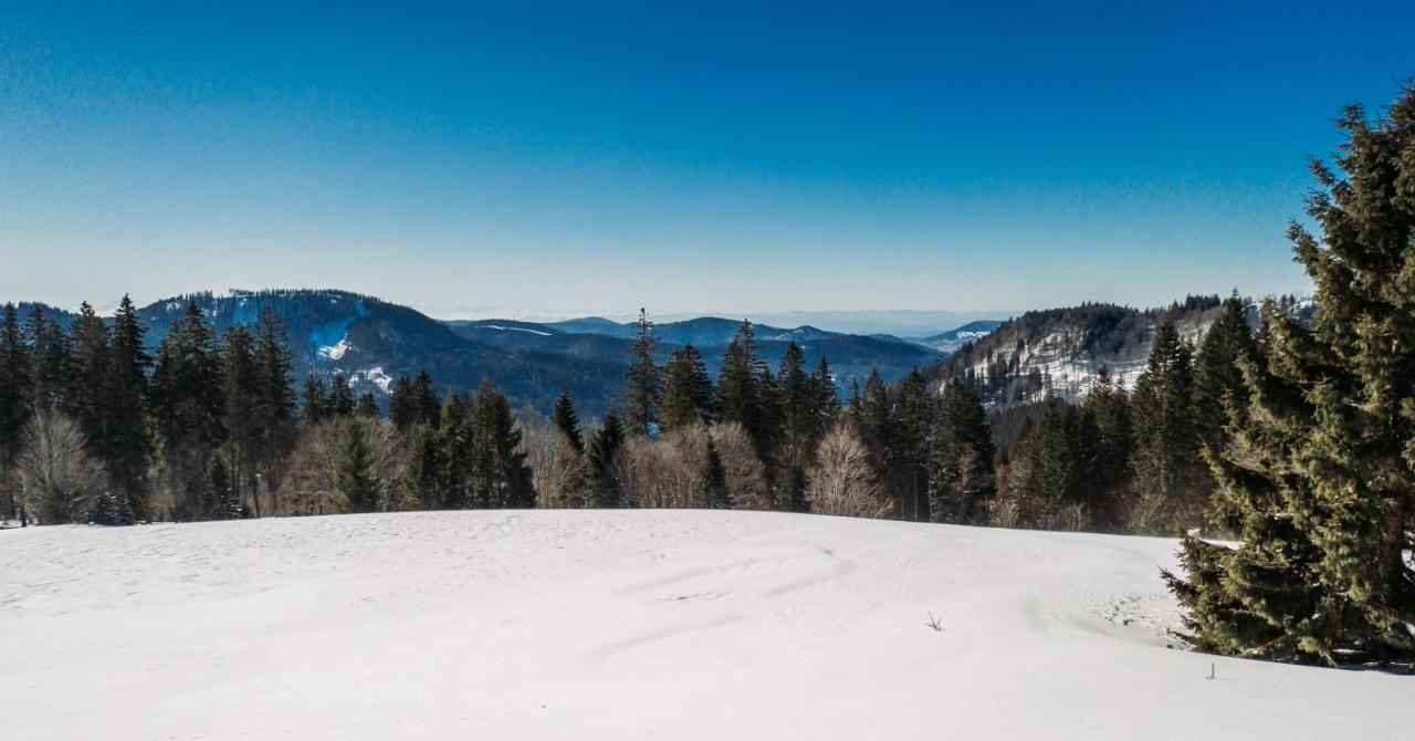 Berggasthof Zur Todtnauer Huette Feldberg  Dış mekan fotoğraf