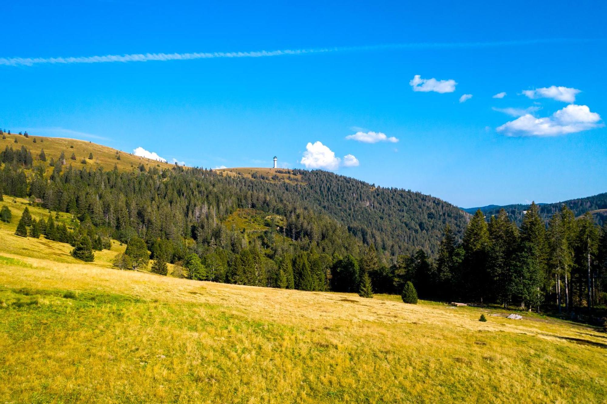 Berggasthof Zur Todtnauer Huette Feldberg  Dış mekan fotoğraf